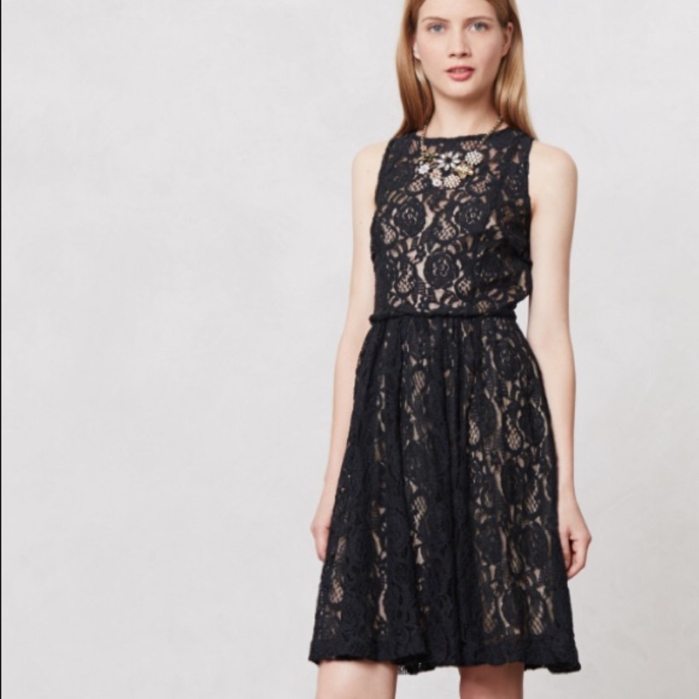 plenty by tracy reese eclipsing lace dress